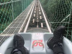 -梦幻奥陶纪景区