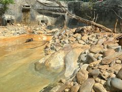 -昆明动物园