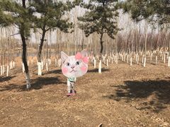 -蒲河岛湿地公园