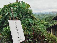 -远山有窑