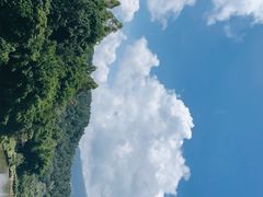 -天强农家菜馆
