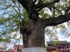 -新安江山水画廊风景区