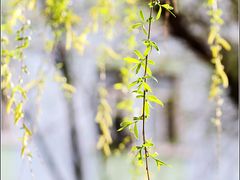 -哈尔滨师范大学(江南校区)