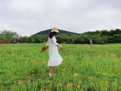 -西海岸生态观光园