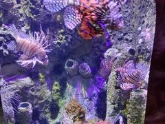 -太平洋海底世界