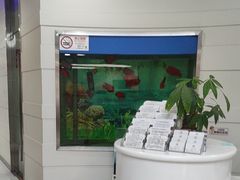 -雅悦齿科(顾村公园店)