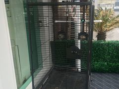 -雨林宠物医院 非犬猫异宠专科