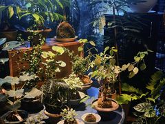 -自由生长植物工作室(深港花卉中心店)