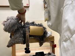 -美联众合动物医院·24h转诊中心