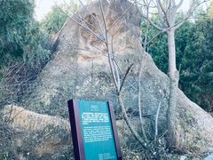 -北京凤凰岭