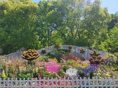 -上海共青森林公园