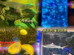 -杭州野生动物世界