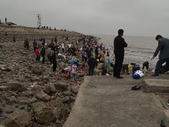 -东疆建设开发纪念公园