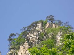 -大连天门山国家森林公园