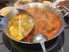 -由衷贵州酸汤牛肉火锅(新桥店)