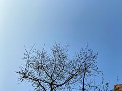 -双福水果批发市场