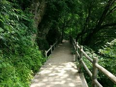 -牛背梁国家森林公园