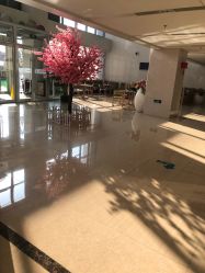 -北京圣宝妇产医院·妇产科·儿科