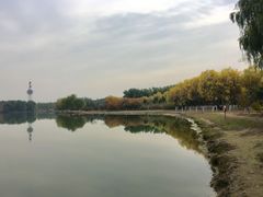 -大兴滨河森林公园