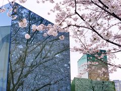 -龙美术馆(西岸馆)