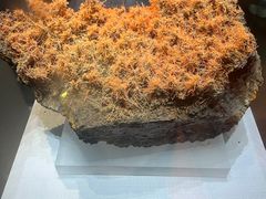 -湖南省地质博物馆