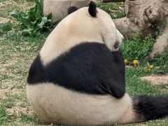 -石家庄市动物园