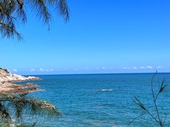 -广东惠东海龟国家级自然保护区