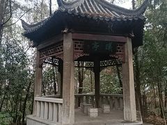 -云龙山