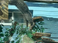 -青藏高原野生动物园