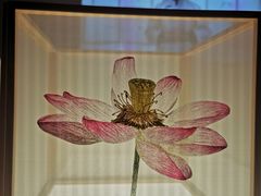 -侵华日军南京大屠杀遇难同胞纪念馆