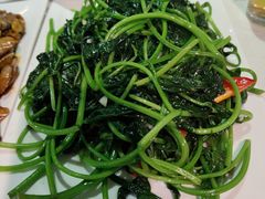 番薯苗-粤北餐馆