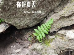 -五女山景区