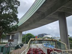 -Big Bus Tours 敞篷观光巴士