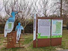 -同里国家湿地公园