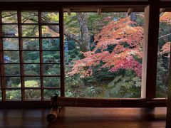 -三千院