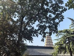 -大慈恩寺(大雁塔)