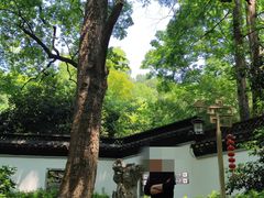 -杭州黄龙洞
