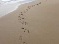 -西涌国际滨海旅游区