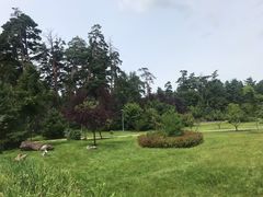 -美人松苑