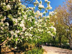 -大兴滨河森林公园