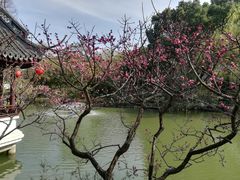 -上海醉白池公园