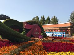 -大兴滨河森林公园