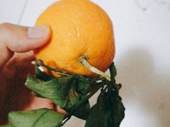 -乐乐鲜果水果超市(河北店)