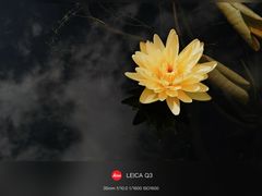 -云溪植物园