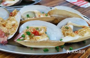 Elephant Trunk Snail