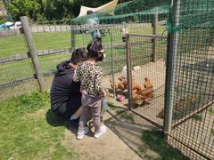 -前小桔亲子创意农场·草莓采摘·露营烧烤