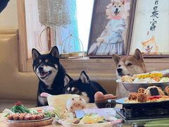 -柴の食堂·日式家庭料理·熊之肆(大学路店)