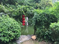 -杭州西湖风景名胜区-三生石