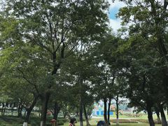-秀丽东方