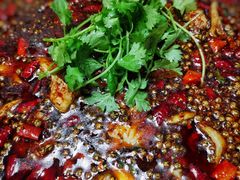 麻辣鱼-乐氏荤豆花